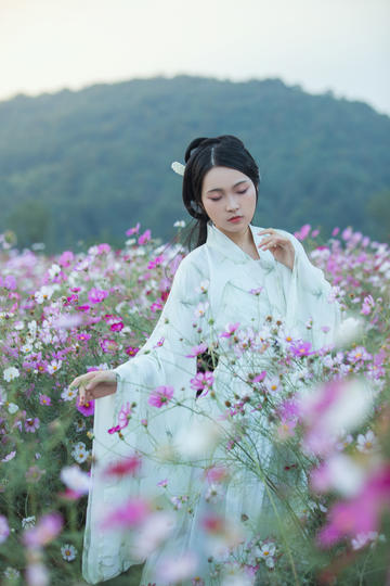 邓科关注赵露思